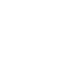 logo 55